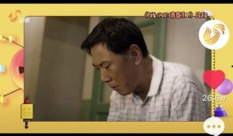 陈泽爆料斩虎视频播放,斩虎视频引发热议，揭秘神秘事件真相